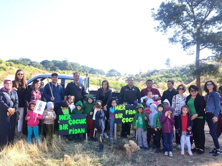 Anaokulu Öğrencileri Ağaç Dikti