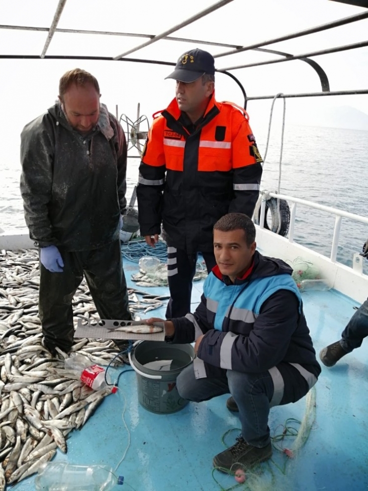 Tarım Ve Orman İl Müdürlüğünün Su Ürünleri Denetimleri