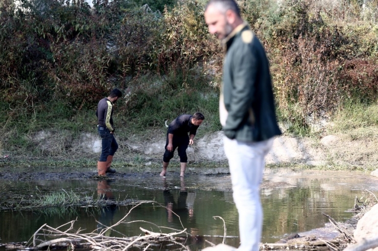 Bursa’da Çevre Felaketi...binlercesi Ölü Bulundu