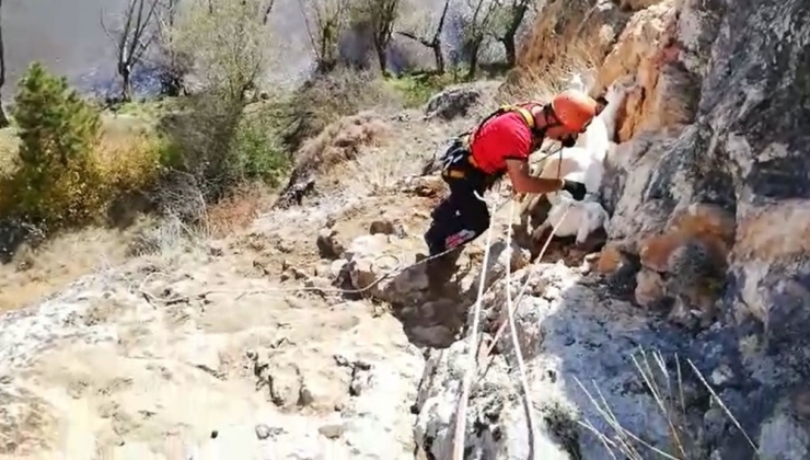 Bolu’da, Uçurumda Mahsur Kalan Keçileri İtfaiye Kurtardı