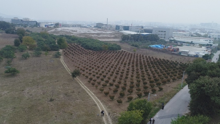 Dublör Kullanıp 50 Milyon Liralık Arazilerini Elinden Aldılar