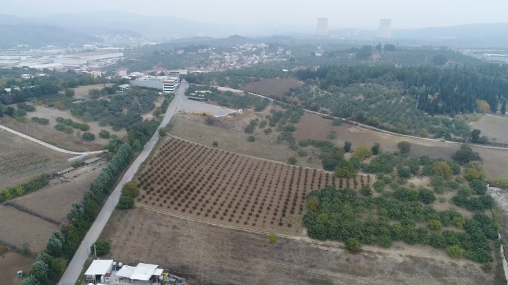 Dublör Kullanıp 50 Milyon Liralık Arazilerini Elinden Aldılar