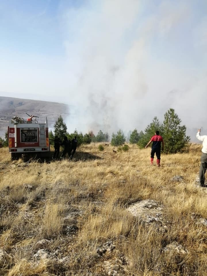 Anız Yangınından Alevler Ormanlık Alana Sıçradı