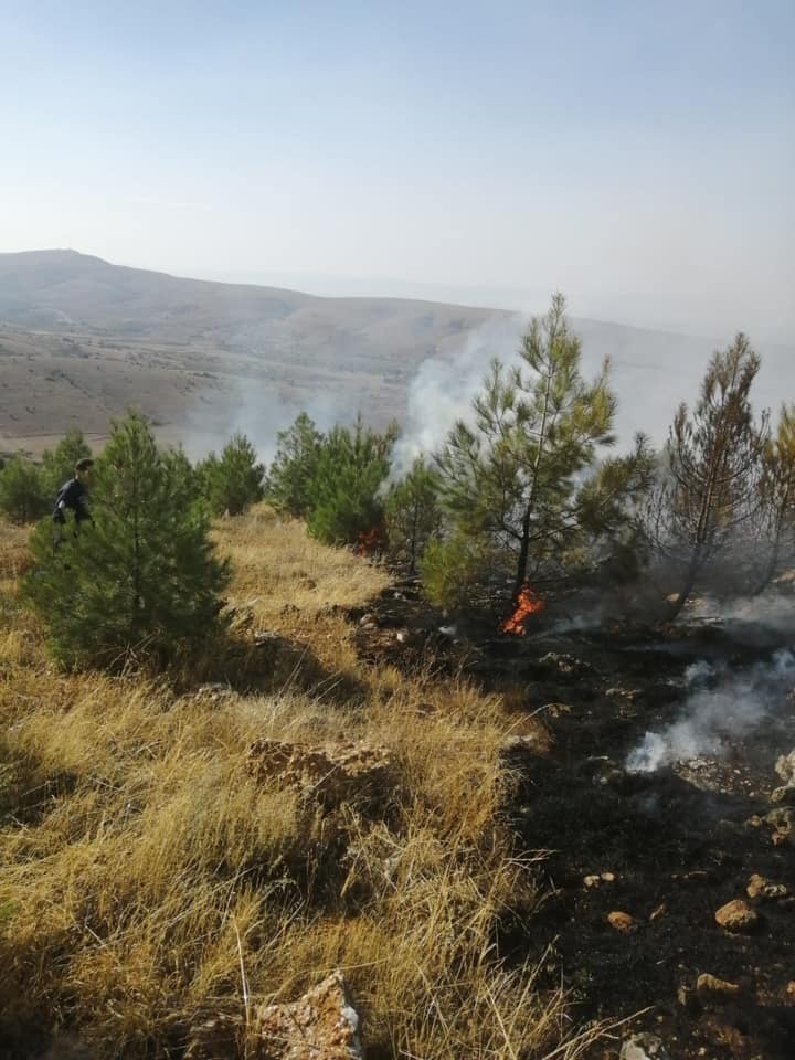 Anız Yangınından Alevler Ormanlık Alana Sıçradı