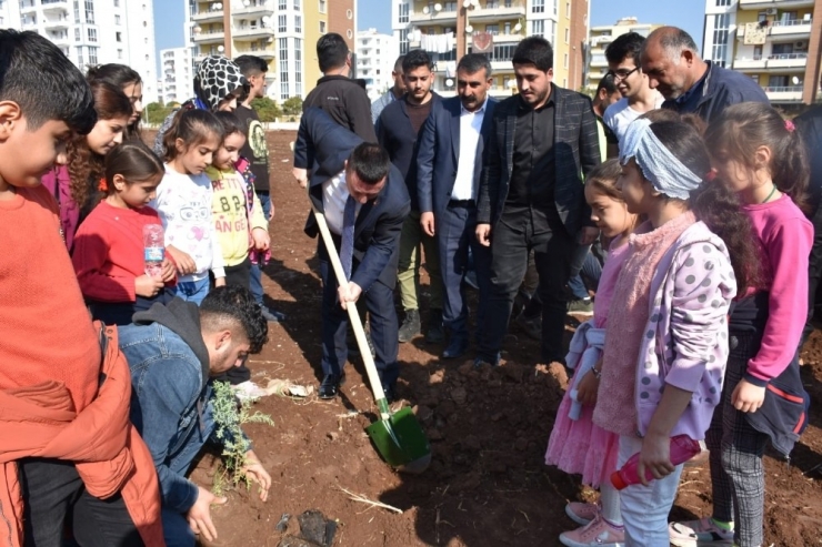 Yeşil Bağlar İçin Çalışmalar Devam Ediyor