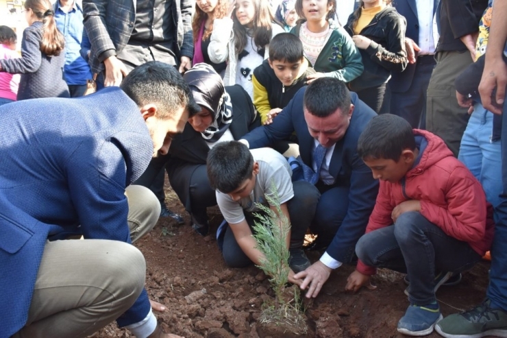 Yeşil Bağlar İçin Çalışmalar Devam Ediyor