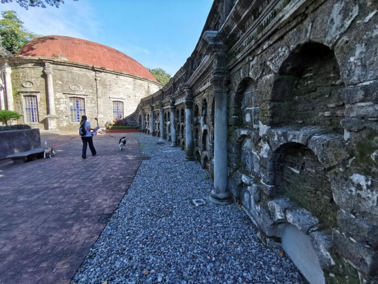 Filipinler’deki Depremde 5 Kişi Öldü