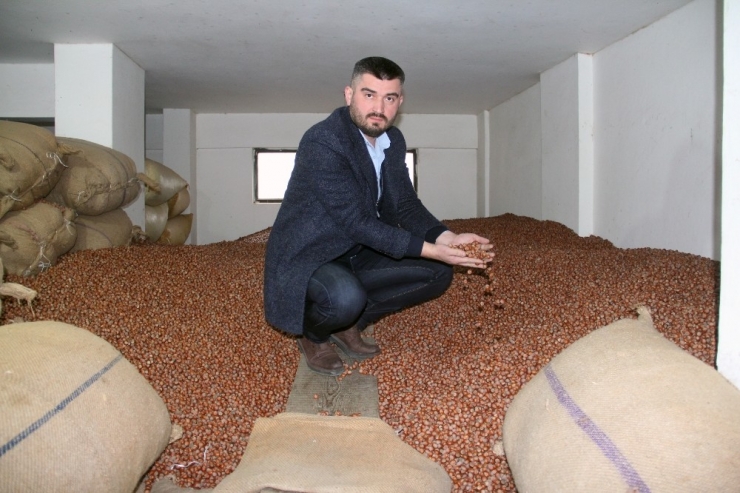 Fındık Fiyatı 20 Liraya Koşuyor