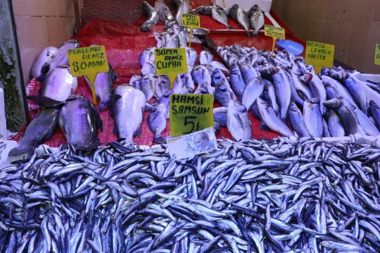 Samsun’da Kilosu 5 Liraya Düşen Hamsi Kapış Kapış