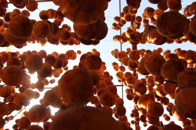 Kuru İncire Alternatif Cennet Elması Kurusu