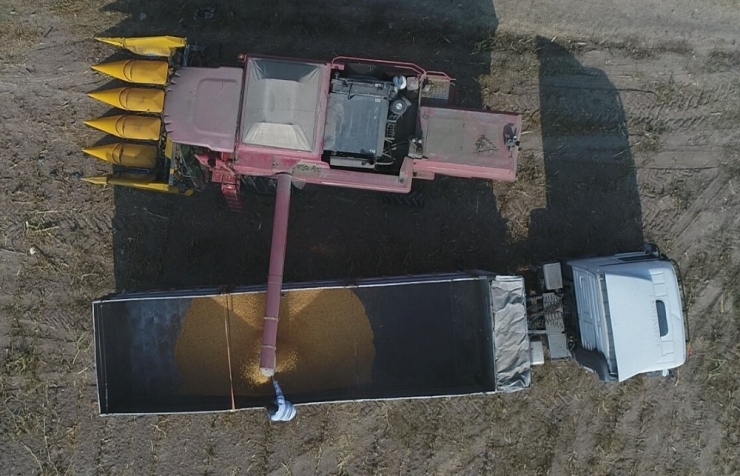 Arpa Ve Buğdayın Yerini Mısır Aldı