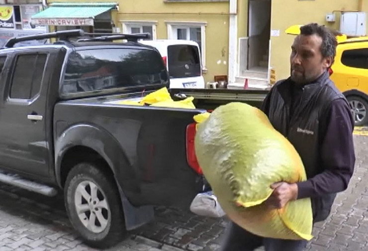 Fındık Fiyatı 20 Liraya Koşuyor