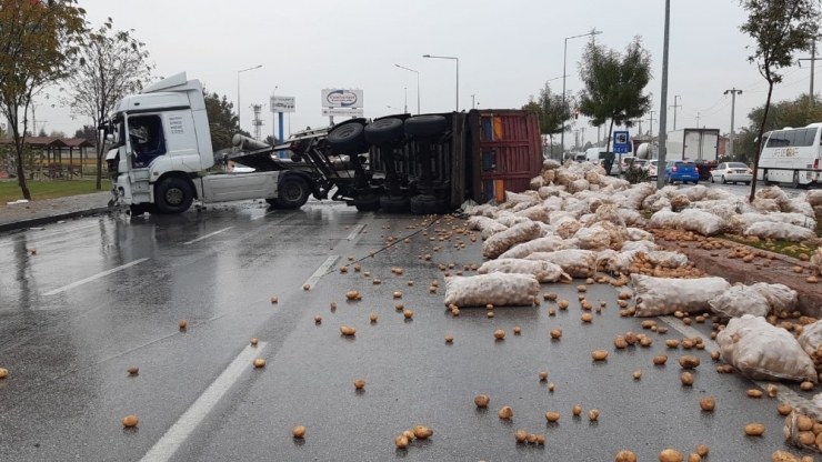 Patates Yüklü Tır Devrildi, Karayolu Patates Tarlasına Döndü