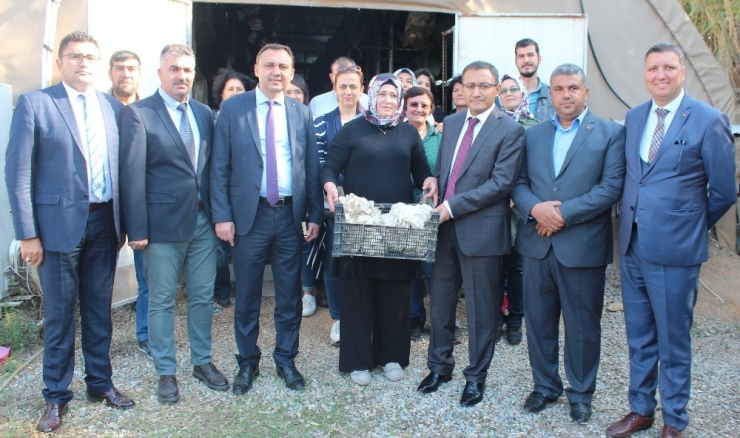 Alaşehirli Kursiyerlerden Mantar Seralarında İnceleme