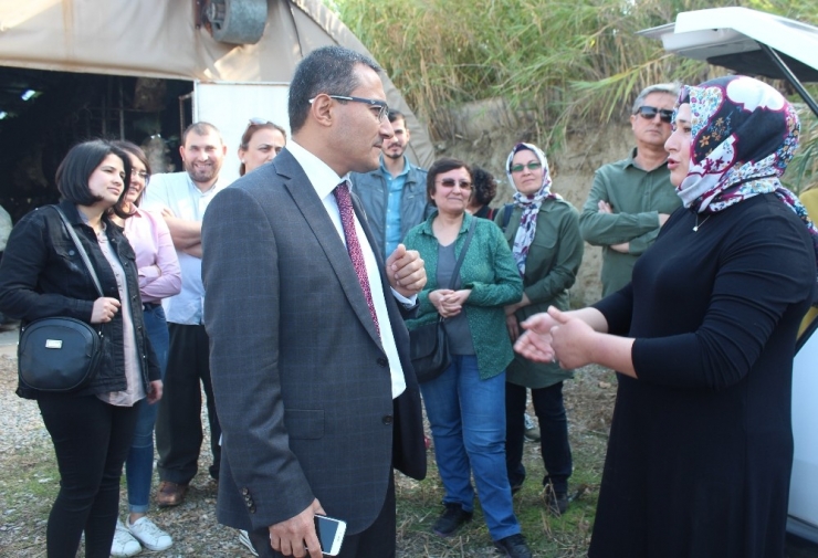 Alaşehirli Kursiyerlerden Mantar Seralarında İnceleme