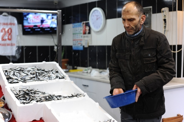 Balıkta İşler Tersine Döndü: Palamut Üzdü, Hamsi Güldürdü