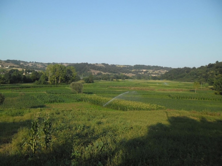 Kocaeli Tarımından Ülke Ekonomisine 9 Milyon 888 Bin Tl’lik Katkı