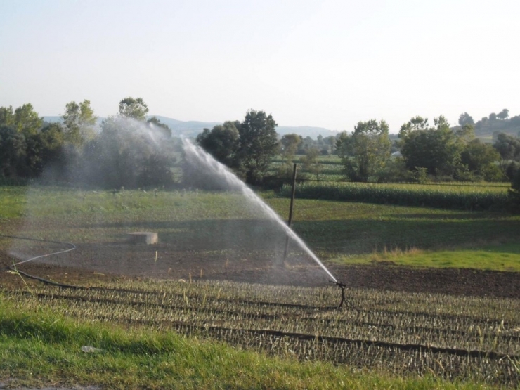 Kocaeli Tarımından Ülke Ekonomisine 9 Milyon 888 Bin Tl’lik Katkı