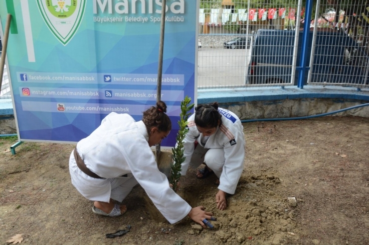 Merhum Ziya Elmalı Judo Turnuvasıyla Anıldı