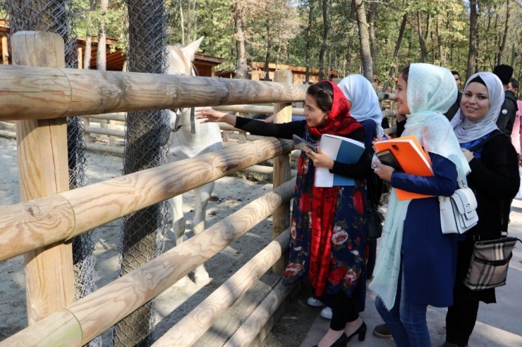 Uluslararası Öğrenciler ’Gez Gör’le İzmit’i Gezdi