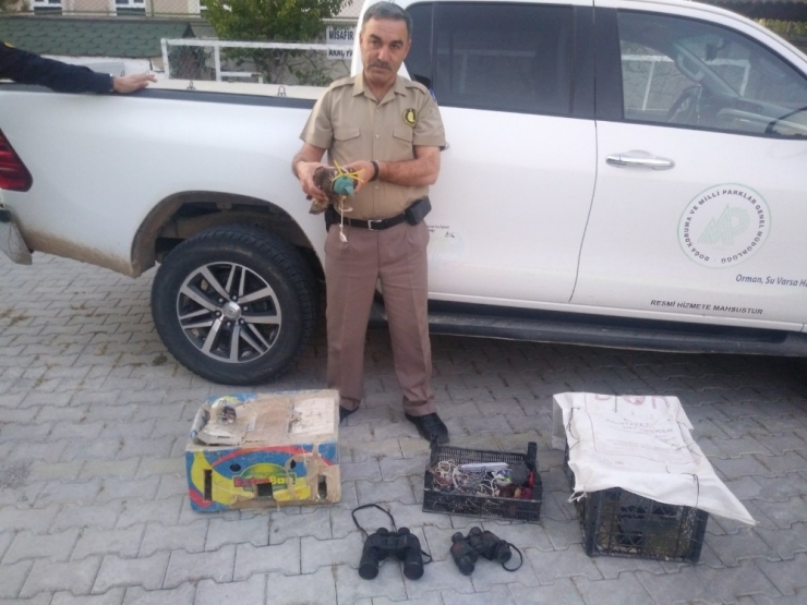 Gözü Kapatılan Şahin, Güvercin Ve Tuzaklı Ava 20 Bin Lira Ceza