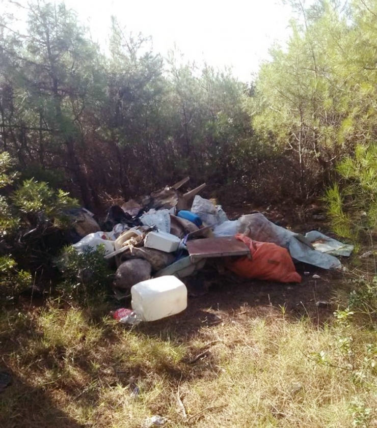 Menteşe Belediyesi’nden Kıyı Temizliği