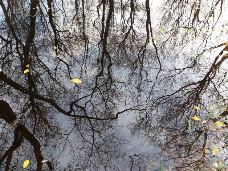 Samsun’da Sonbahar Güzelliği