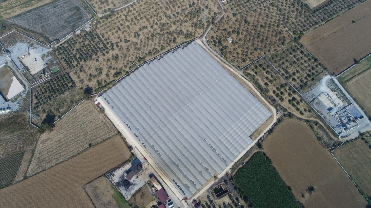 Sıcak Su Verilmeyince 38 Milyonluk Yatırım Çürümeye Terk Edildi