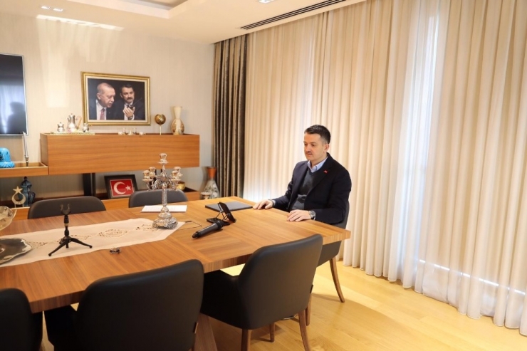 6’ıncı Milas Zeytin Hasat Şenliği Gerçekleştirildi