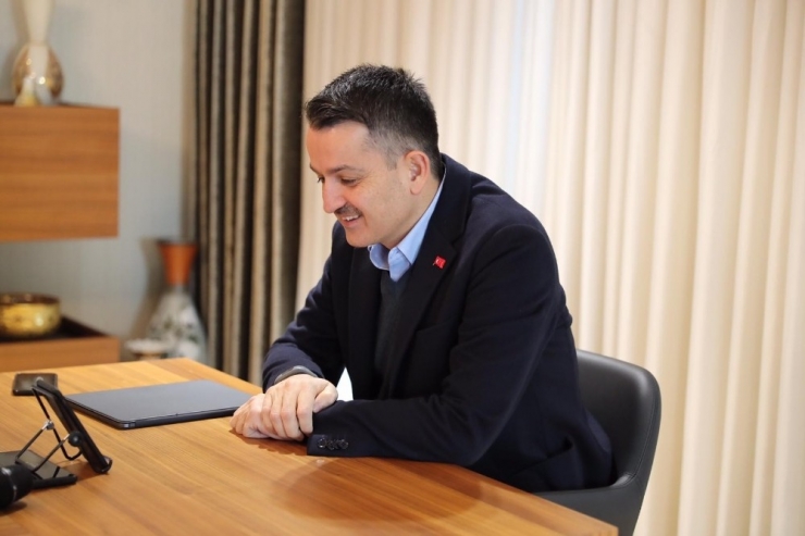 6’ıncı Milas Zeytin Hasat Şenliği Gerçekleştirildi