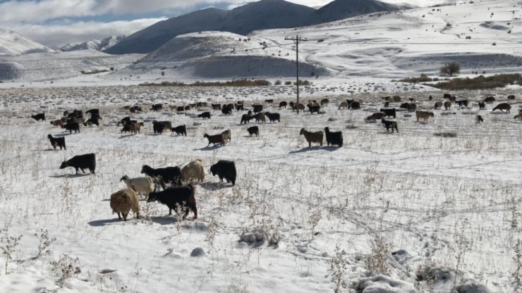 Bingöl’de Köyler Beyaza Büründü