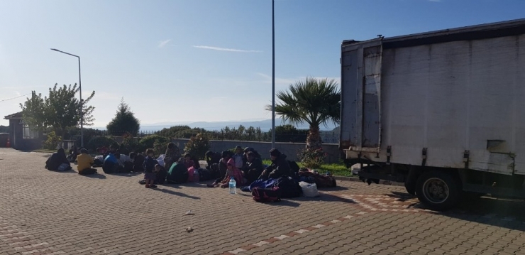 Çanakkale’de Kamyonetin Kasasından 43 Mülteci Çıktı