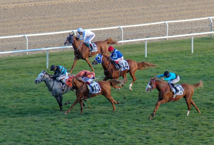 Cumhuriyet Koşusunu ’Sürgüntay’ Kazandı