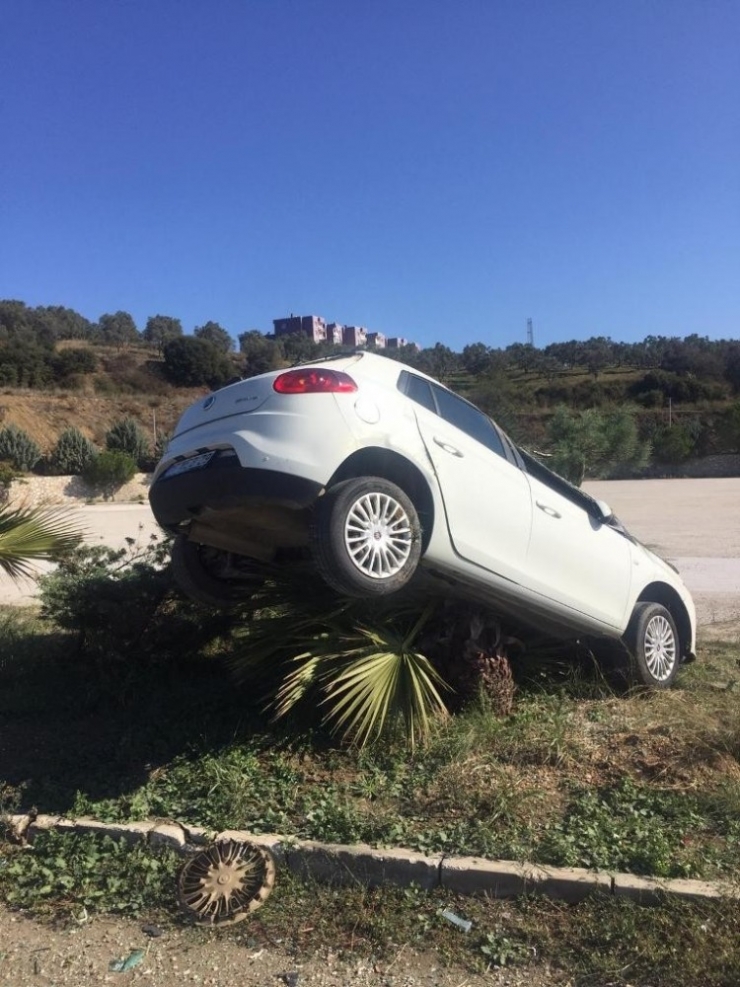 Kontrolünü Kaybeden Otomobil Ağaca Çıktı