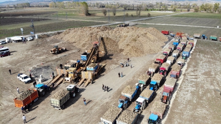 Çiftçilerin Zorlu Pancar Mesaisi Devam Ediyor