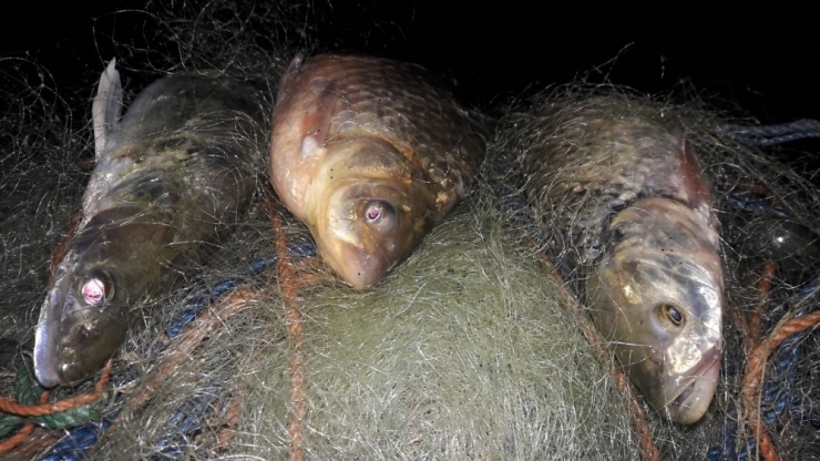 Altınapa Baraj Gölünde Kaçak Avcılığa Karşı Denetimler