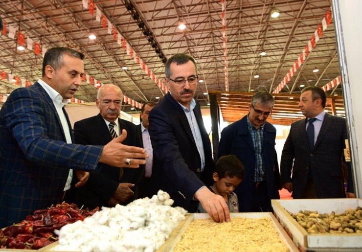 Başkan Güngör: "Üreticimize Desteğimiz Artarak Sürecek"