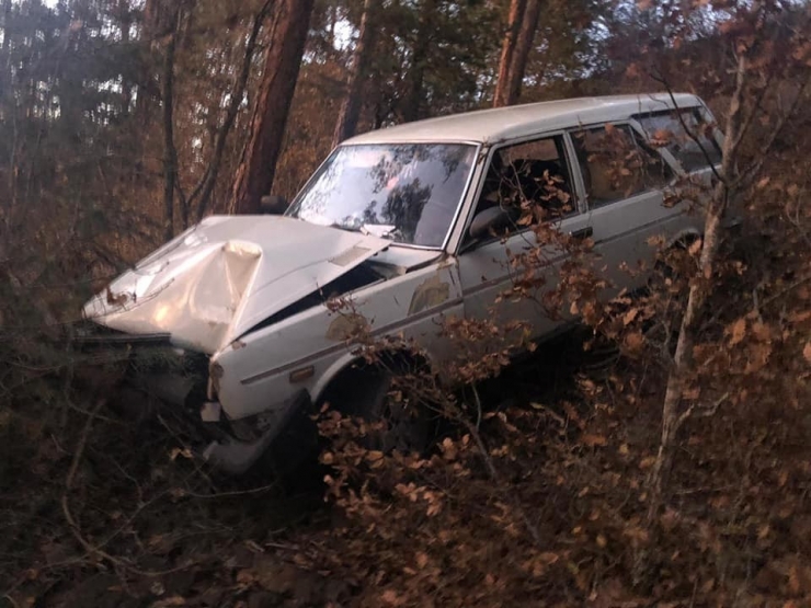 Yoldan Çıkan Otomobil Ağaçlık Alana Uçtu: 1 Yaralı
