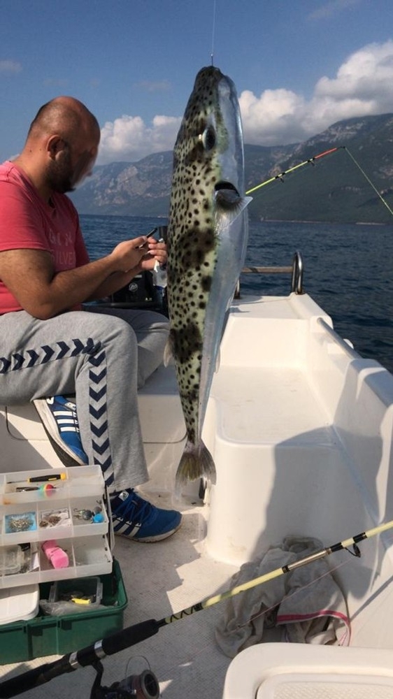 Gökova Körfezi’nde ’Canavar’ Yakalandı