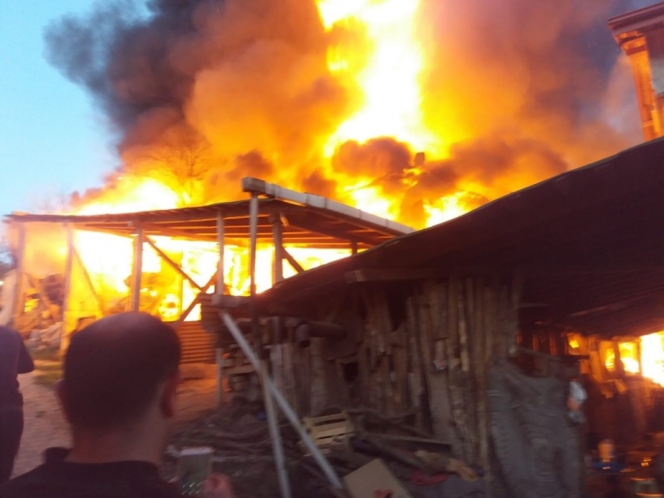Ahırda Çıkan Yangında 1 Büyükbaş Hayvan Telef Oldu