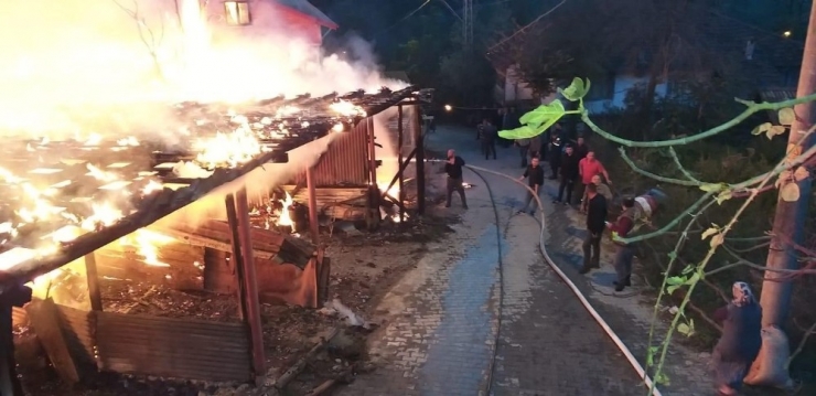 Ahırda Çıkan Yangında 1 Büyükbaş Hayvan Telef Oldu