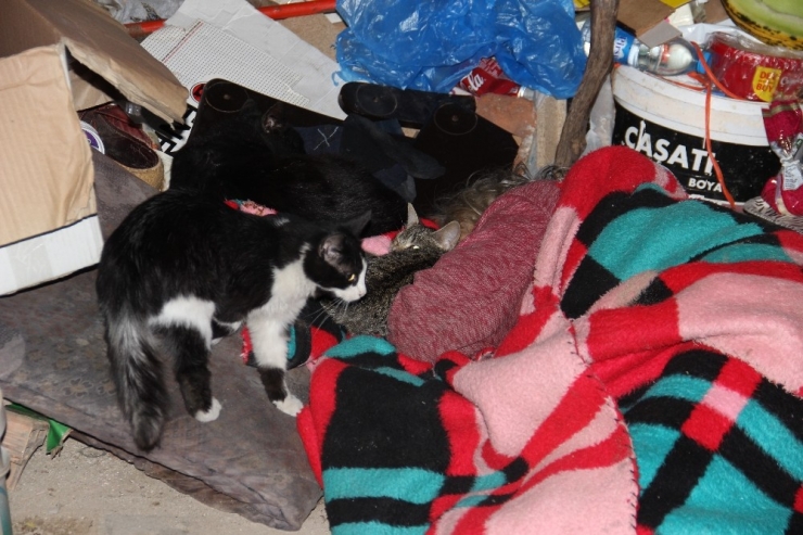 Kaldırımda Geçen Dram Dolu Bir Hayat