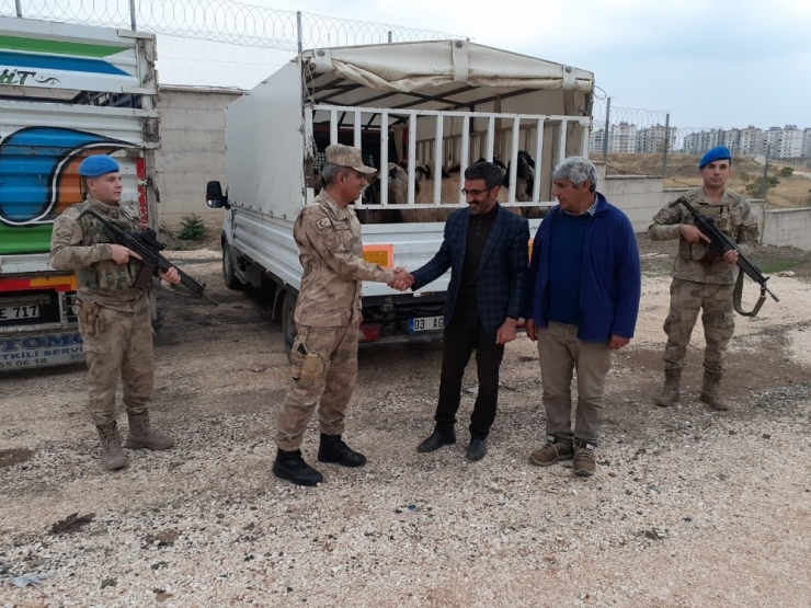 Hayvanları Almak İçin Geldiler, Çalıp Kaçtılar