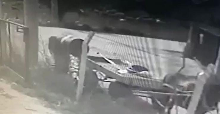 Kendi Mallarıymış Gibi Aldılar