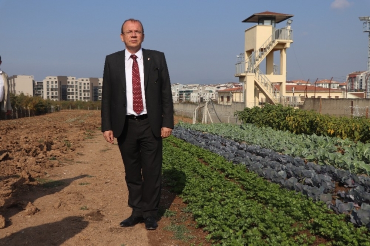 Matlı: "Bursa E Tipi Cezaevinde Tarım İş Kolu Açıldı"