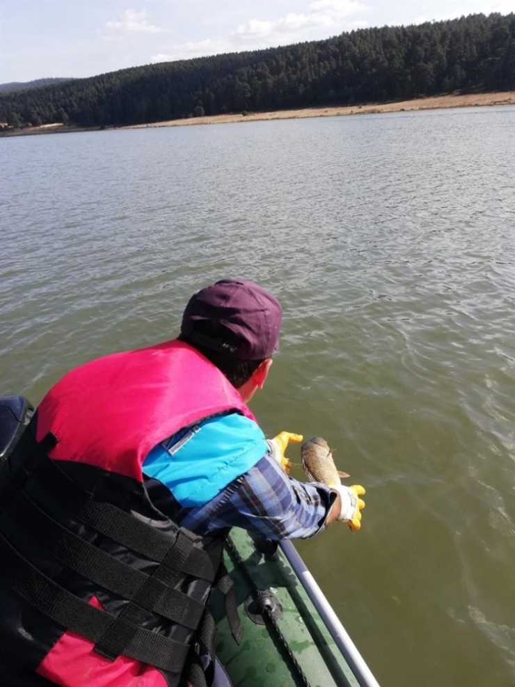 Bolu’da, Kaçak Avla Mücadelede Gölden 300 Metre Ağ Çıkarıldı