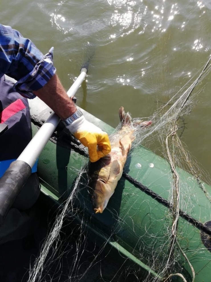 Bolu’da, Kaçak Avla Mücadelede Gölden 300 Metre Ağ Çıkarıldı