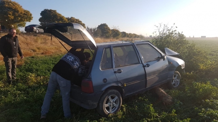 Şarampole İnen Otomobil Ağaca Çarptı: 5 Yaralı