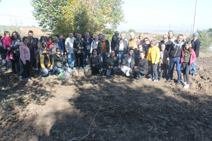 Yüz Bin Ağaç Tohumunu Toprakla Buluştu