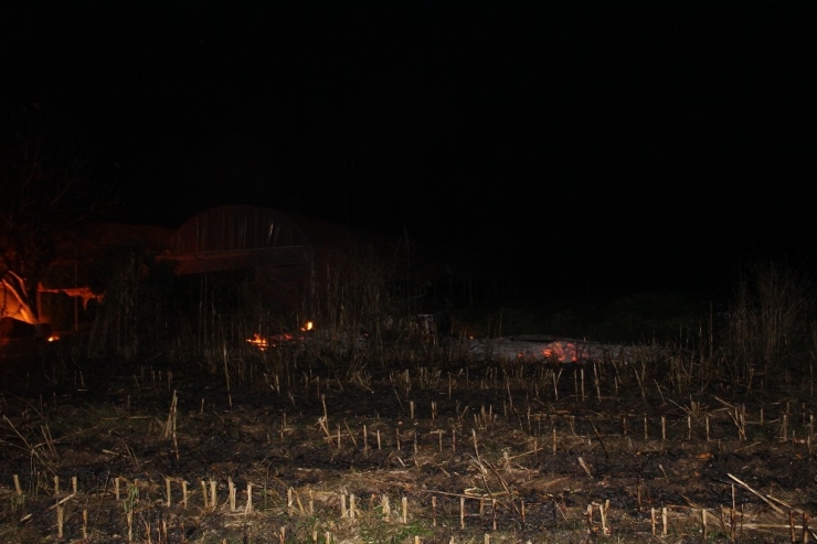 Anız Yangını Seraya Sıçradı